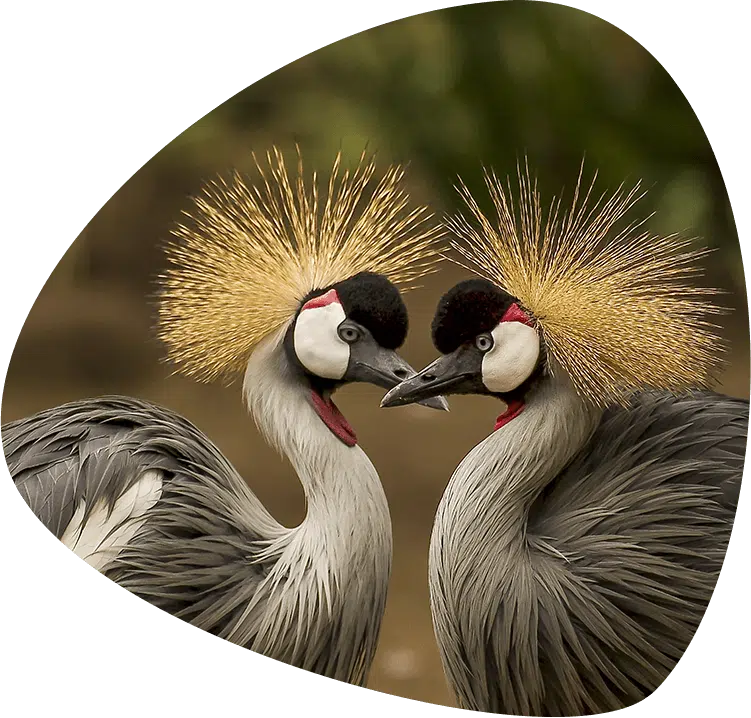home_animals2_education2 home_animals2_education2